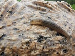 -狼山风景名胜区