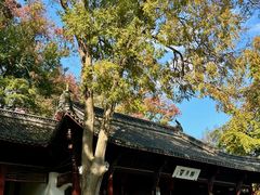 -采石矶景区