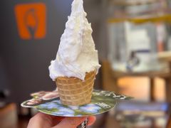 -野人先生Gelato(上海长宁龙之梦店)