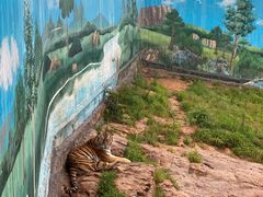 -西霞口神雕山野生动物世界