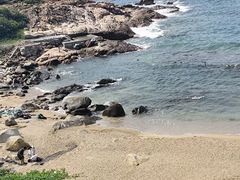 -广东惠东海龟国家级自然保护区