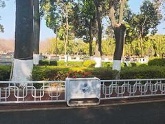 -翠湖公园