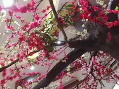 -桃花姐假日酒店·桃花潭土菜馆