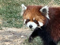 -水上乐园·欢乐世界