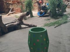 -石家庄市动物园