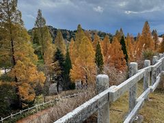 -神户市立六甲山牧场