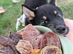 -J Create城市露营咖啡·简餐·宠物(上海动物园店)