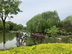 -大兴滨河森林公园