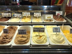 -Dooley's Premium Ice Cream