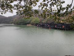 -白马涧龙池景区