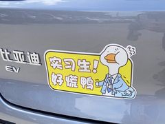 -弘仁宝佳比亚迪4S店(宝山旗舰店)