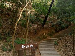 -中山市树木园