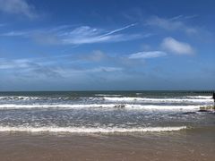 -日照海滨国家森林公园