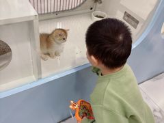 -凯德MALL(望京店)