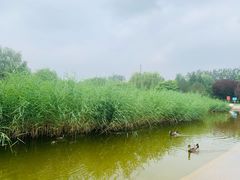 -太阳宫公园