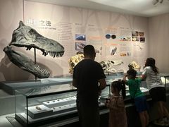 -自贡恐龙博物馆