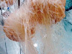 -食神鱼头佛跳墙(百子湾旗舰店)