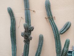 -正佳雨林生态植物园