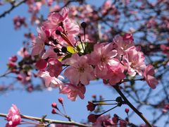 -云南师范大学(一二一西南联大校区)