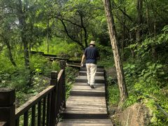 -北京十三陵国家森林公园蟒山景区