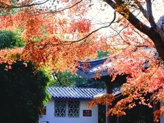 -堤角公园