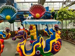 -南宫五洲植物乐园