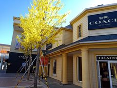 -COACH蔻驰(赛特奥特莱斯店)