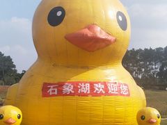 -保利石象湖景区