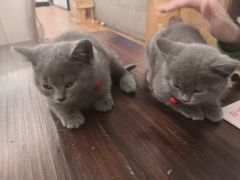 -么么咖啡(燕郊店)