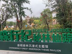 -东平国家森林公园