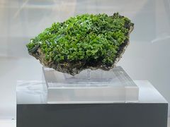 -中国地质大学逸夫博物馆