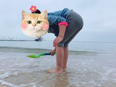 -碧桂园十里银滩