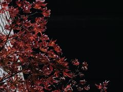 -苏州本色美术馆
