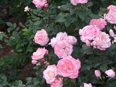 -人民公园(罗湖区)