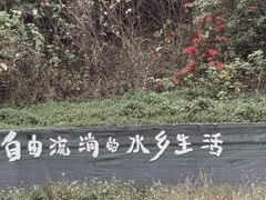 -江门古劳水乡旅游区