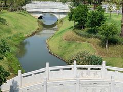 -王借岗森林公园