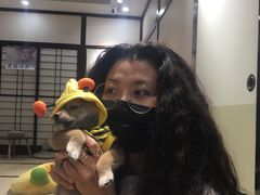 -逗柴咖啡屋·狗咖猫咖宠物桌游