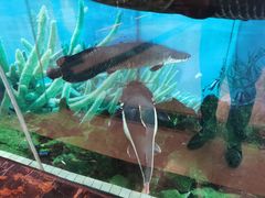 -新世纪大酒楼·30年南海菜