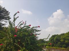 -海珠湖公园