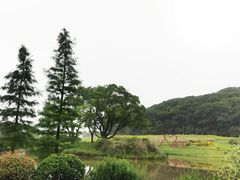 -无锡梅园公园
