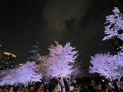 -西北湖绿化广场