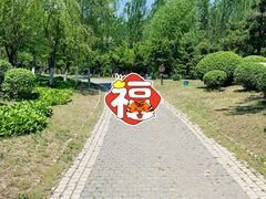-莫子山公园