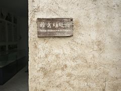 -盐城丹顶鹤湿地生态旅游区