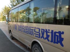 -灵玲国际马戏城