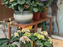 -泉乐坊步行街(烟酒特产平价超市店)