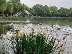 -洛阳市隋唐城遗址植物园