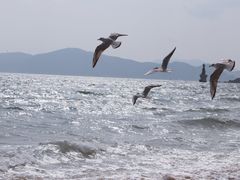 -海云台海滩