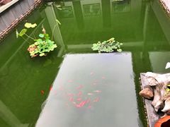 -天地生态农庄