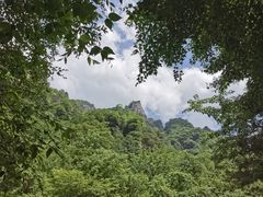 -青峰峡国家森林公园