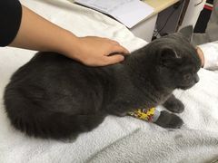 -惠康宠物医院(华能路店)